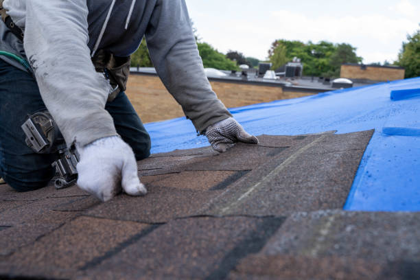Best Storm Damage Roof Repair  in Shorewood, IL