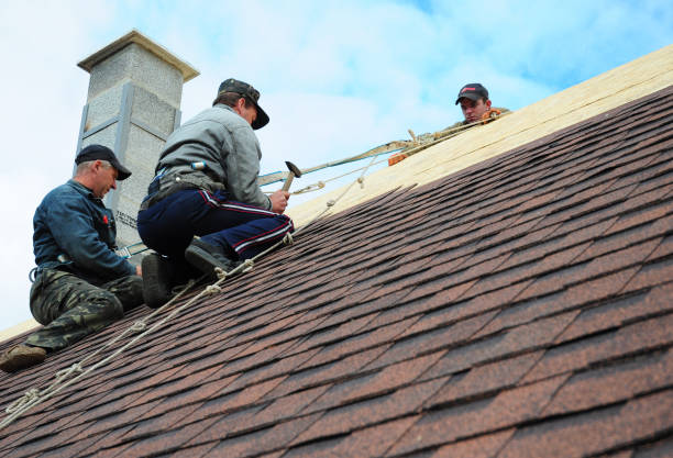 Best Local Roofing Companies  in Shorewood, IL